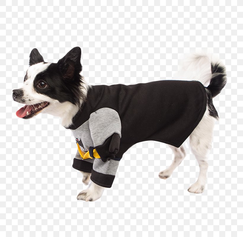 Dog Breed Costume Batman Ace The Bat-Hound, PNG, 800x800px, Dog, Ace The Bathound, Batman, Border Collie, Clothing Download Free