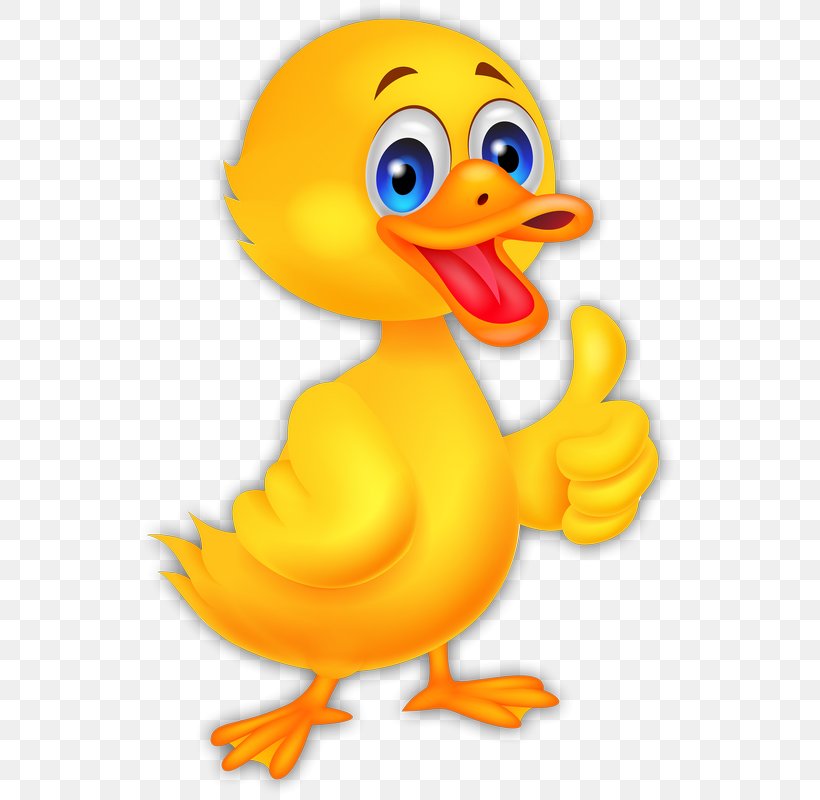 Donald Duck American Pekin Cartoon, PNG, 538x800px, Donald Duck, American Pekin, Beak, Bird, Can Stock Photo Download Free