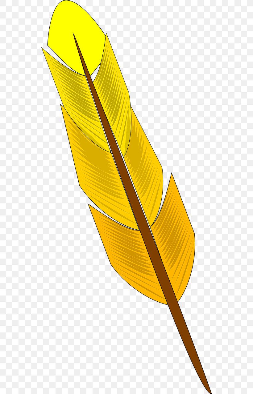Feather Bird Clip Art, PNG, 640x1280px, Feather, Bird, Drawing, Leaf, Pin Feather Download Free