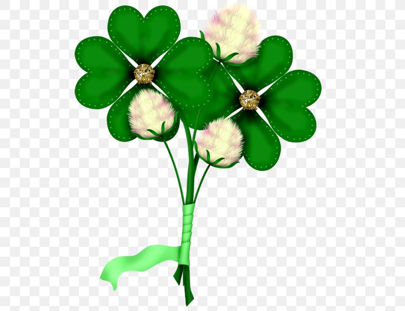 Graphic Design Blog Saint Patrick's Day Clip Art, PNG, 630x630px, Blog, Animation, Cut Flowers, Flower, Flowering Plant Download Free