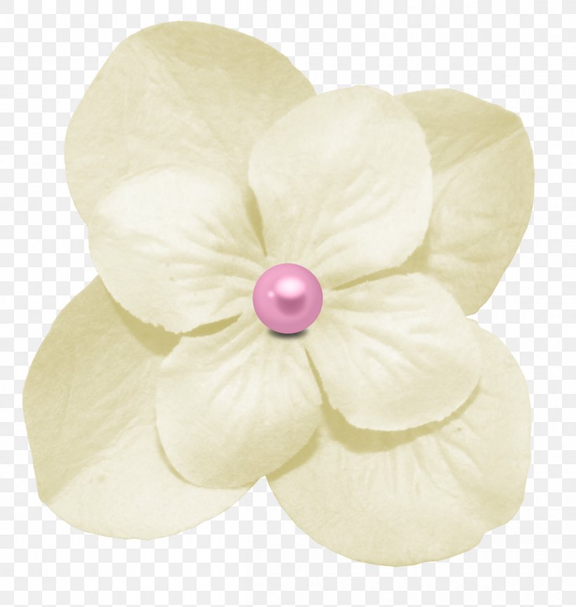 Jewellery, PNG, 1200x1264px, Jewellery, Flower, Petal, White Download Free