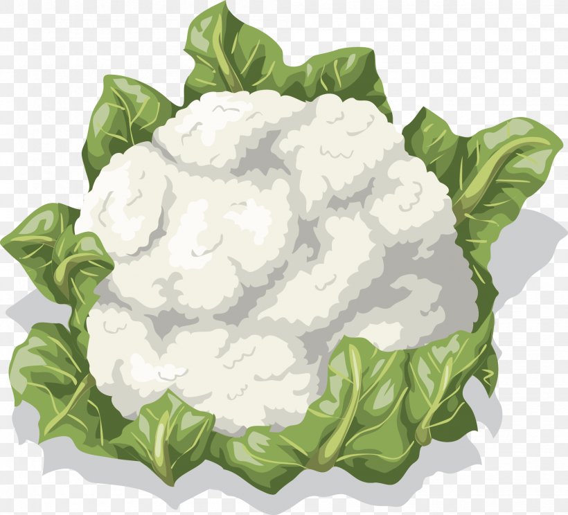 Cauliflower Vegetable Food Clip Art, PNG, 1996x1812px, Cauliflower, Broccoli, Cabbage, Cartoon, Chinese Cabbage Download Free