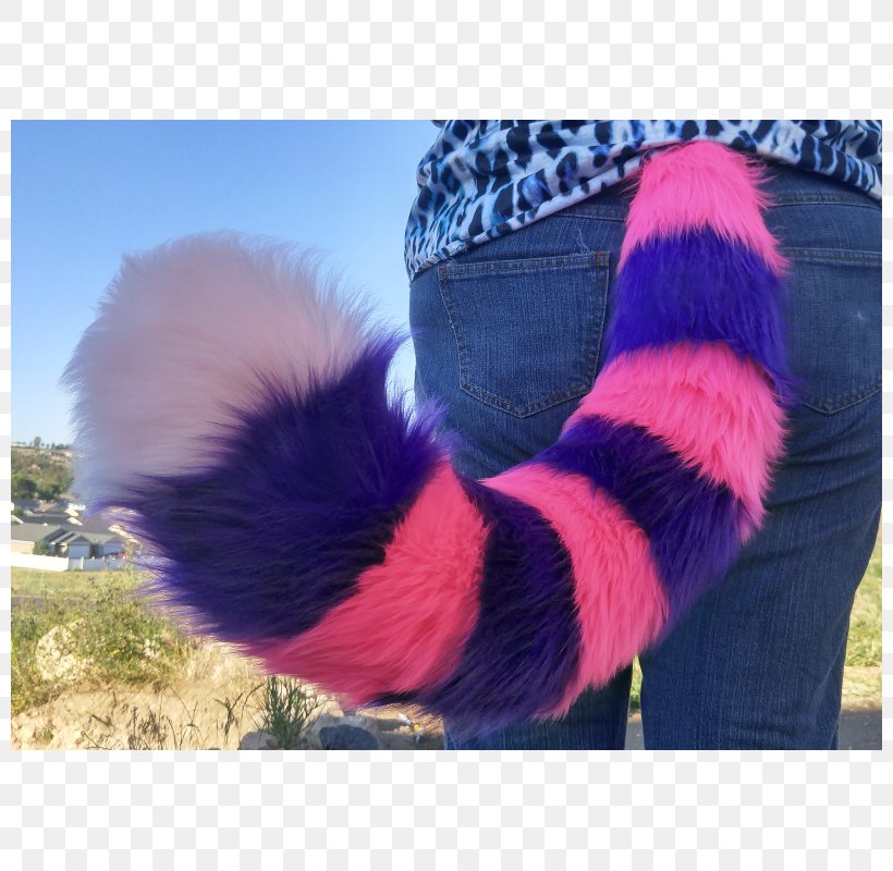 Cheshire Cat Fur Kitten Tail, PNG, 800x800px, Cheshire Cat, Cat, Cheshire, Clothing, Cosplay Download Free