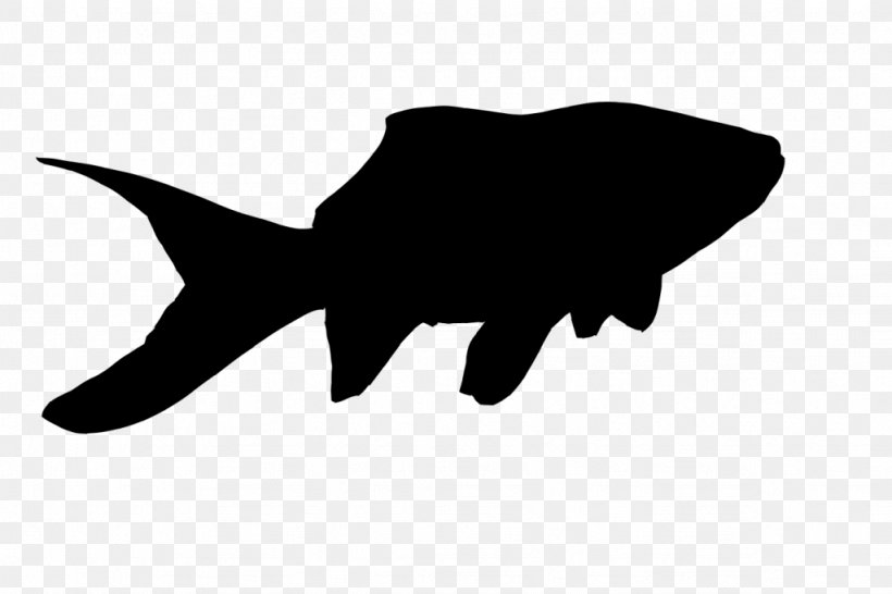 Goldfish Silhouette Drawing, PNG, 1024x682px, Goldfish, Animal, Aquarium, Black, Black And White Download Free