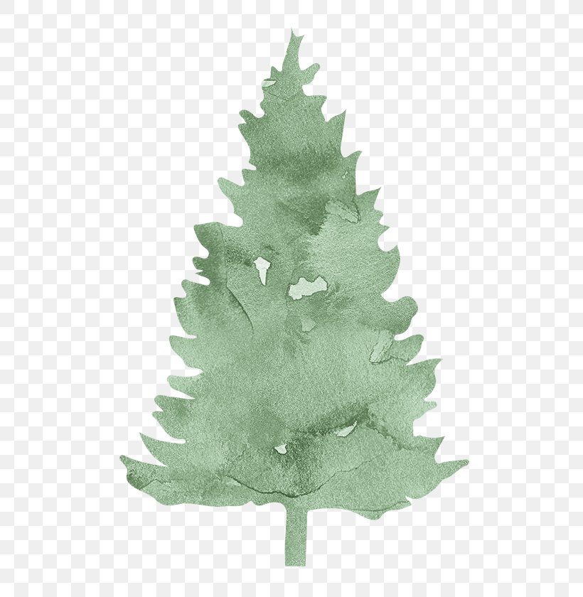 Pine Spruce Fir Evergreen Conifers, PNG, 533x840px, Pine, Christmas Decoration, Christmas Ornament, Christmas Tree, Conifer Download Free