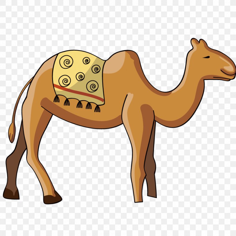 Dromedary Clip Art, PNG, 900x900px, Dromedary, Animal, Arabian Camel, Camel, Camel Like Mammal Download Free