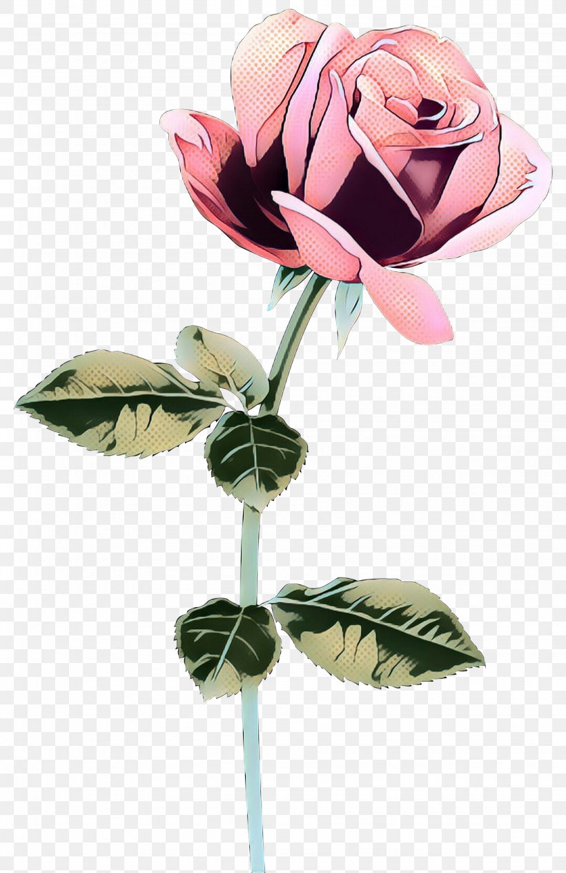 Garden Roses Cabbage Rose Cut Flowers Floral Design, PNG, 1945x3000px, Garden Roses, Artificial Flower, Botany, Cabbage Rose, Cut Flowers Download Free