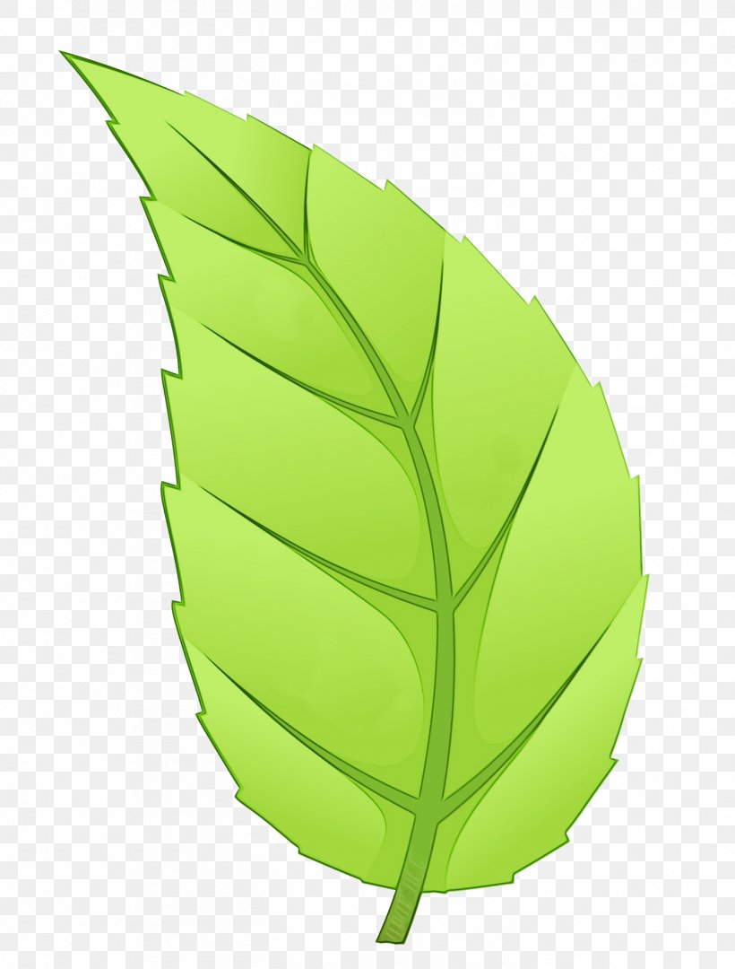 Banana Leaf, PNG, 1416x1866px, Watercolor, Banana Leaf, Green, Leaf, Paint Download Free