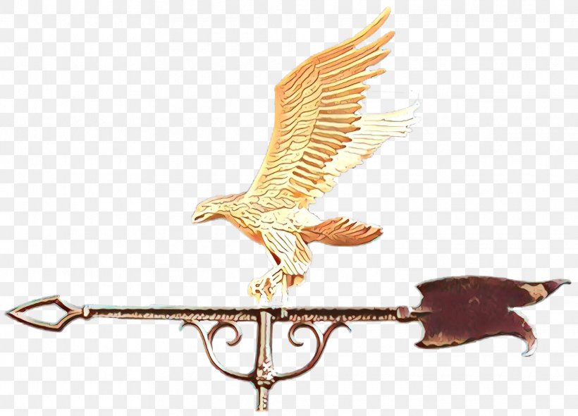 Eagle Wing Bird Bird Of Prey Falconiformes, PNG, 1975x1423px, Cartoon, Bird, Bird Of Prey, Eagle, Falcon Download Free