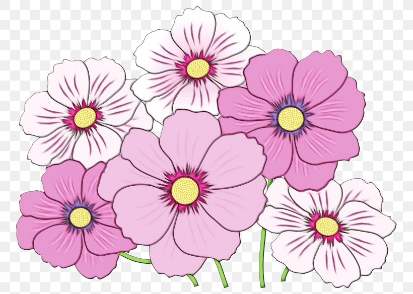 Floral Design Pansy Primrose Pink M, PNG, 768x584px, Floral Design, Annual Plant, Botany, Cosmos, Daisy Family Download Free