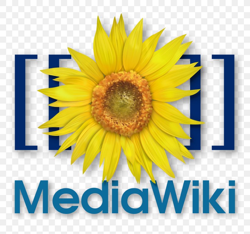 MediaWiki Wikimedia Foundation Computer Software Wikipedia, PNG, 768x768px, Mediawiki, Computer Software, Cut Flowers, Daisy Family, Docker Download Free