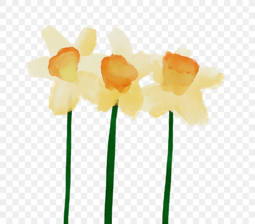 Petal Cut Flowers Yellow Flower, PNG, 825x725px, Watercolor, Cut Flowers, Flower, Paint, Petal Download Free