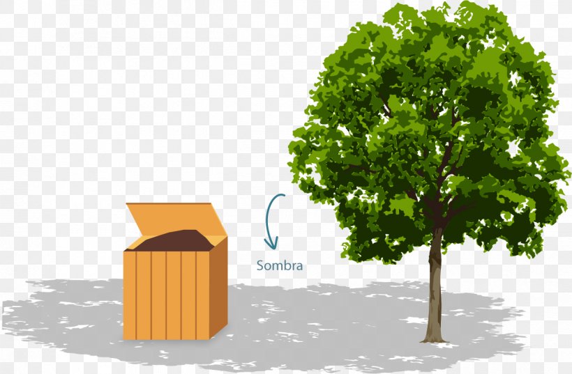 Rootstock Fruit Tree Arborist Clip Art, PNG, 1247x817px, Rootstock, Apples, Arborist, Arborvitae, Certified Arborist Download Free