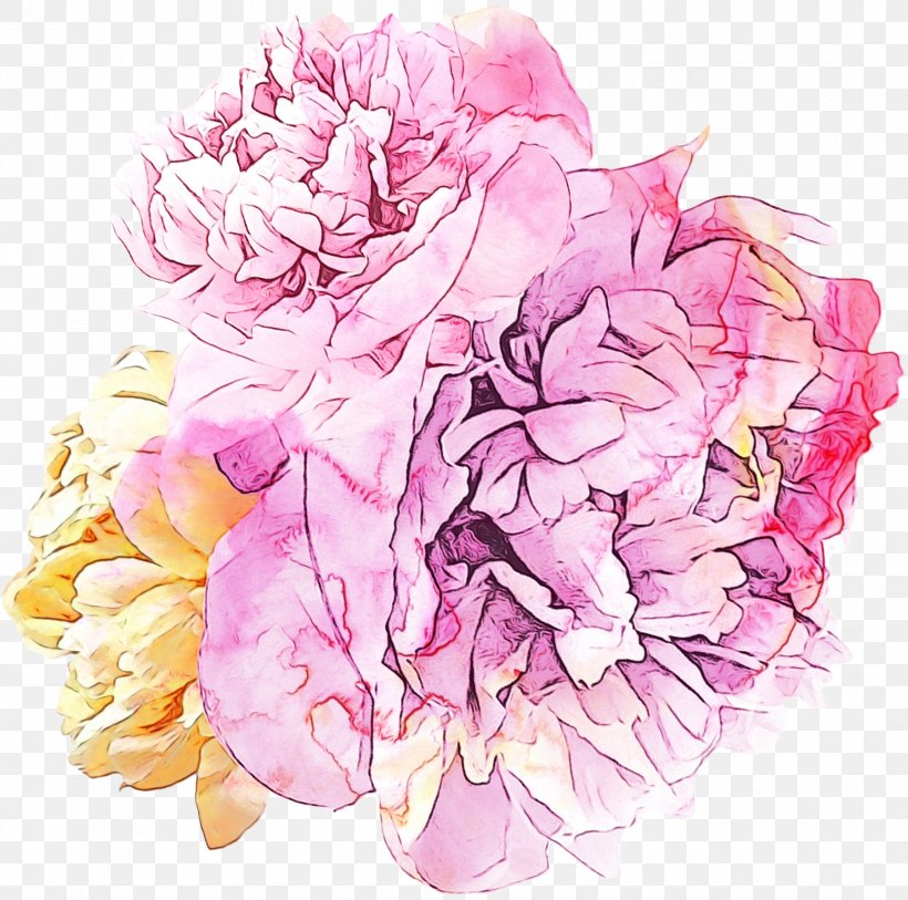 Watercolor Pink Flowers, PNG, 1800x1785px, Watercolor, Artificial Flower, Bouquet, Cabbage Rose, Chinese Peony Download Free