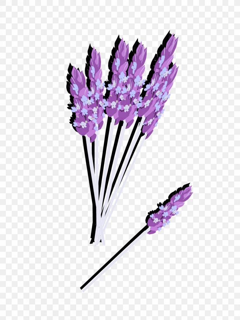English Lavender Euclidean Vector Flower Violet, PNG, 1250x1667px, English Lavender, Digital Image, Flower, Flower Bouquet, Flowering Plant Download Free