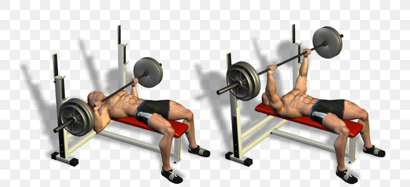 Exercise Bench Press Dumbbell Fitness Centre Bodybuilding, PNG, 750x375px, Watercolor, Cartoon, Flower, Frame, Heart Download Free