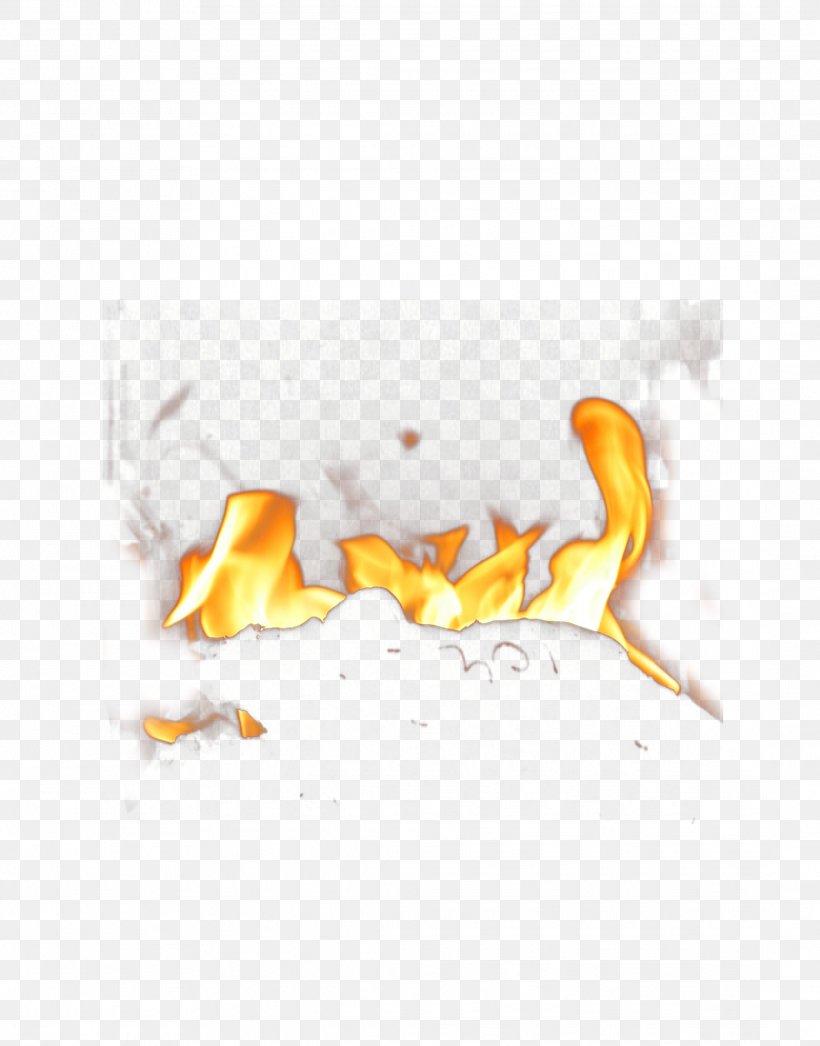 Fire Flame Candle, PNG, 2176x2776px, Fire, Beak, Candle, Combustion, Conflagration Download Free