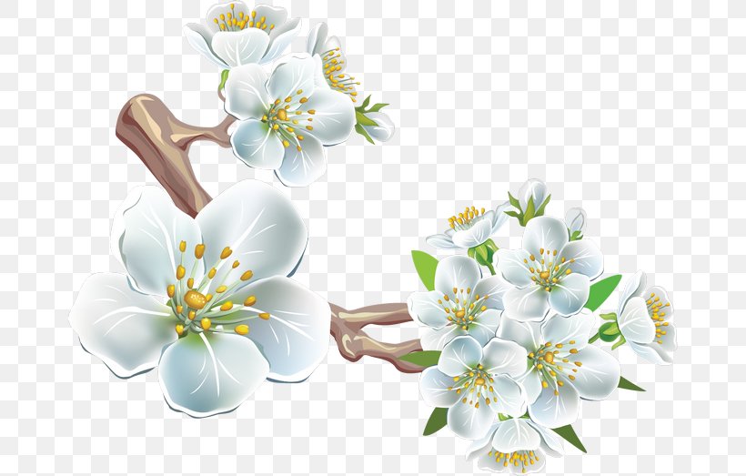 Flower PhotoScape Clip Art, PNG, 670x523px, Pear, Blossom, Branch, Cherry, Cherry Blossom Download Free