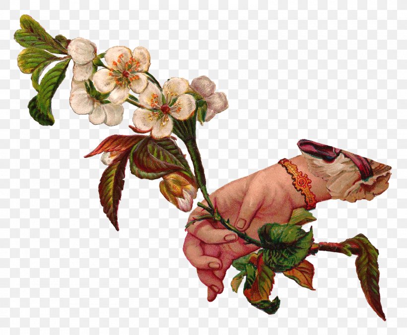 Flower Vintage Clothing Clip Art, PNG, 1600x1319px, Flower, Antique, Branch, Cut Flowers, Digital Illustration Download Free