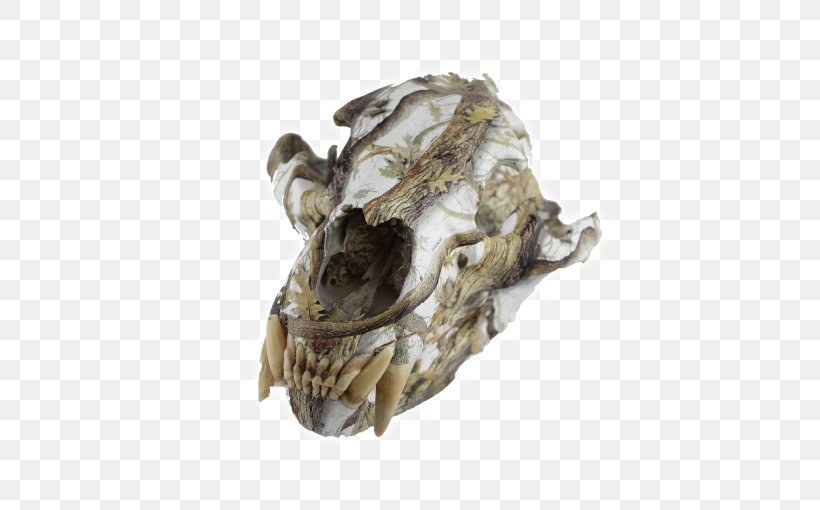 Skull Covering Infinity Finishes Jaw White-tailed Deer, PNG, 510x510px, Skull, Animal, Bone, Com, Covering Infinity Finishes Download Free