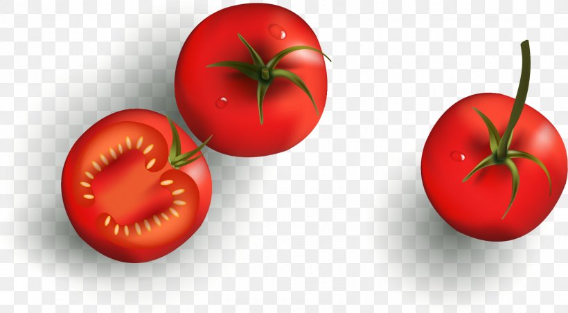 Tomato Tomatillo Food, PNG, 1685x929px, Tomato, Blue, Chart, Diet Food, Food Download Free