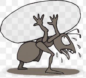 Ant Child Insect Image Family PNG