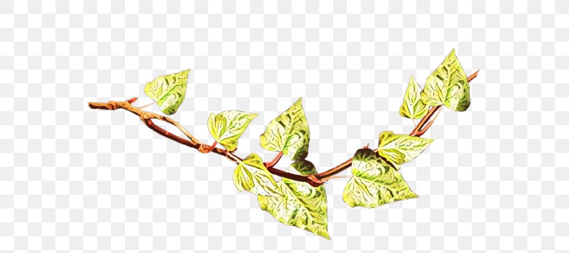 Twig Plant Stem Flowering Plant Leaf, PNG, 700x364px, Twig, Botany, Branch, Bud, Flower Download Free