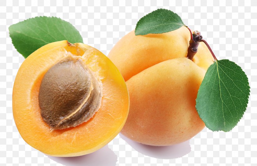 Apricot Clip Art, PNG, 1600x1032px, Apricot, Apricot Kernel, Apricot Oil, Diet Food, Dried Apricot Download Free