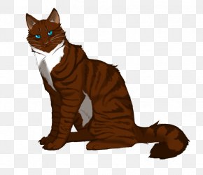 Cat - Cat Warriors Hawkfrost Leafpool Rainwhisker PNG