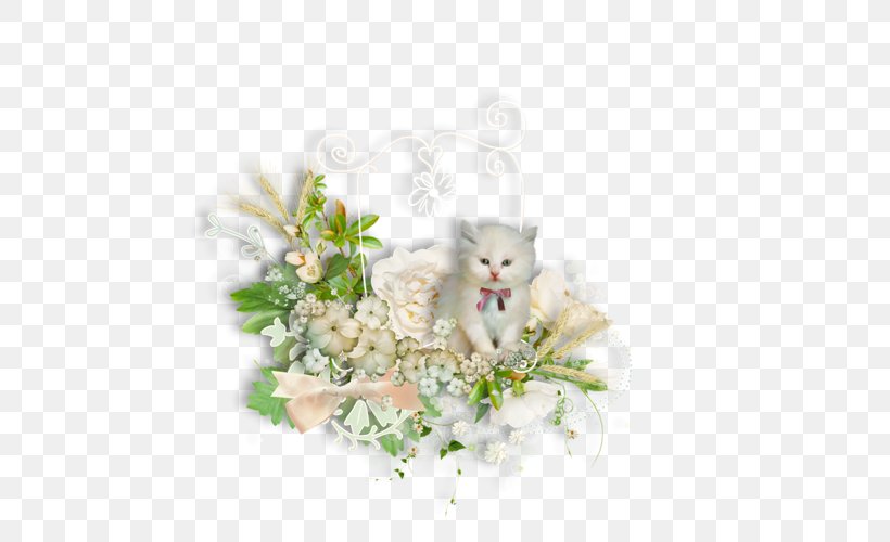 Flower Desktop Wallpaper Floral Design Clip Art, PNG, 500x500px, Flower, Blog, Carnivoran, Cat, Cat Like Mammal Download Free