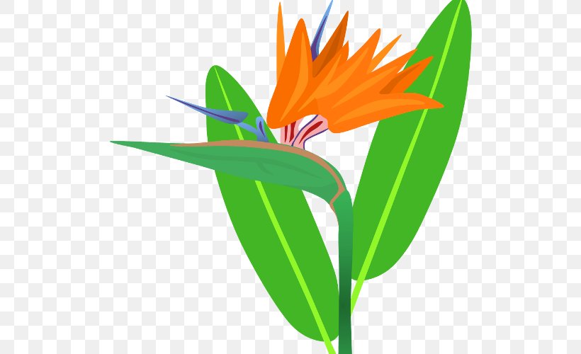 Petal Leaf Plant Stem Clip Art, PNG, 512x500px, Petal, Flora, Flower, Grass, Leaf Download Free