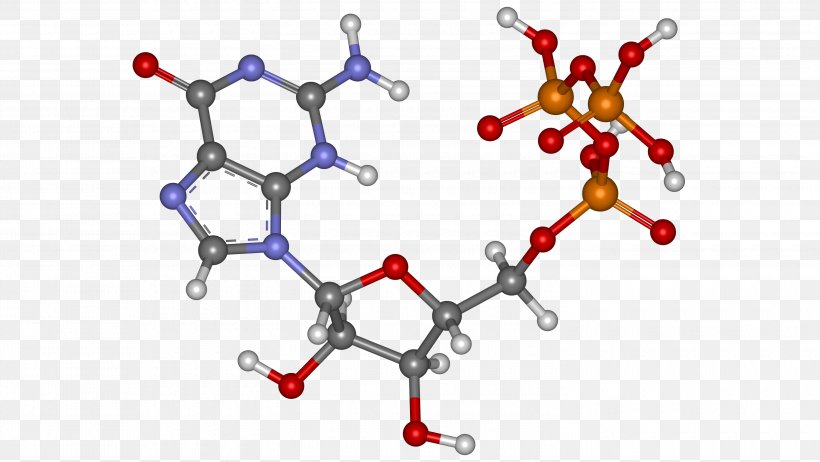 Thyroid-stimulating Hormone Thyroid-stimulating Hormone Gland Hypothyroidism, PNG, 3000x1692px, Thyroid, Antibody, Body Jewelry, Branch, Diagram Download Free