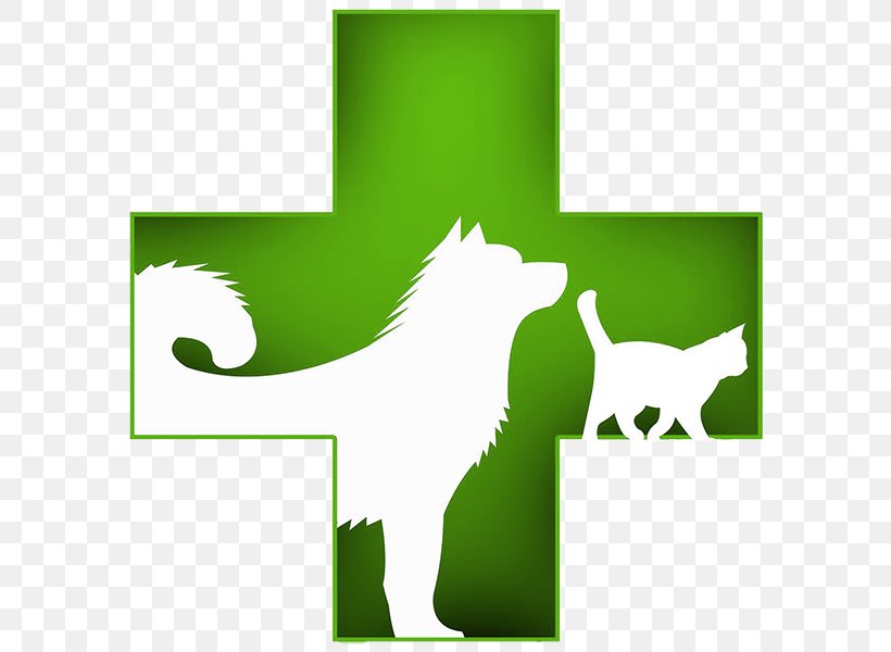 Dog VELLCAN CLINICA VETERINARIA Y PELUQUERÍA CANINA / FELINA Kitten Pet Veterinary Medicine, PNG, 600x600px, Dog, Animal, Canidae, Carnivoran, Cat Like Mammal Download Free