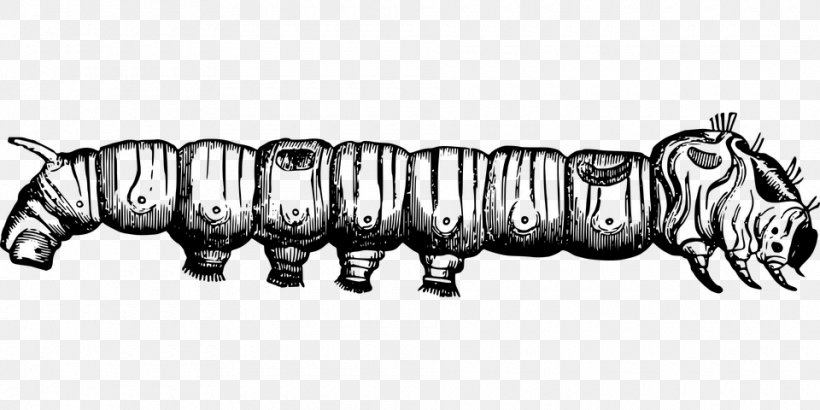 Insect Silkworm Larva Caterpillar, PNG, 960x480px, Insect, Animal, Art, Auto Part, Black And White Download Free