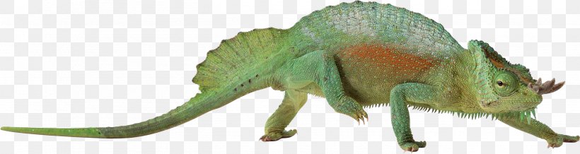 Lizard Chameleons Reptile Common Iguanas, PNG, 2812x750px, Lizard, Animal Figure, Chameleons, Common Iguanas, Fauna Download Free