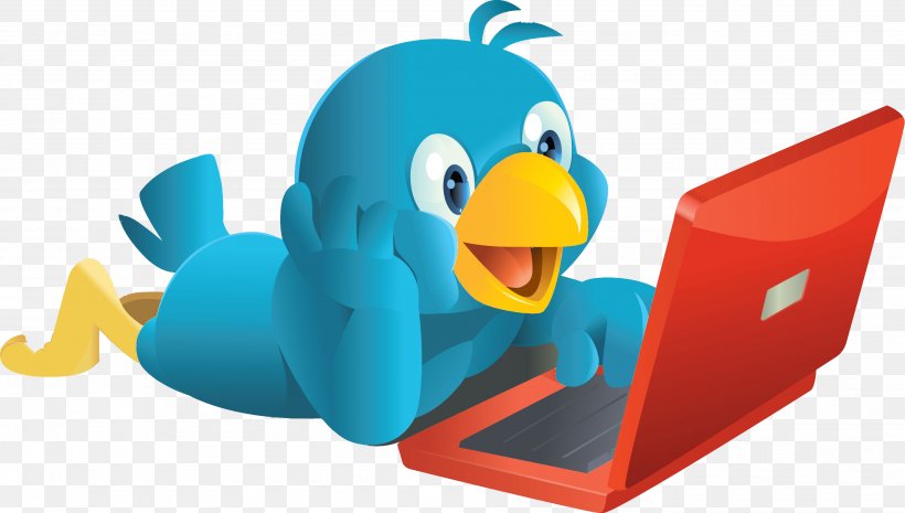 Bird Social Media Twitter User Social Networking Service, PNG, 2764x1568px, Bird, Blog, Flightless Bird, Hashtag, Israellycool Download Free