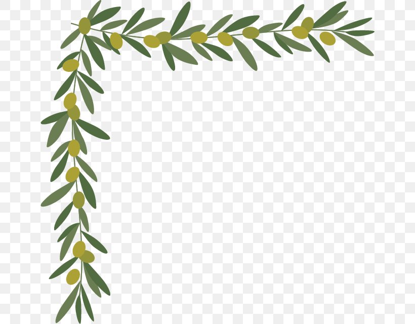 Borders And Frames Olive Leaf Twig Clip Art, PNG, 660x640px, Borders And Frames, Branch, Flora, Flower, Grass Family Download Free