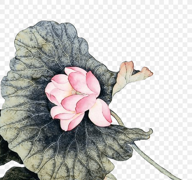 Flower Pink Petal Plant Flowering Plant, PNG, 1899x1775px, Watercolor, Camellia, Flower, Flowering Plant, Herbaceous Plant Download Free
