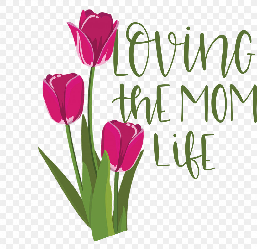 Mothers Day Mothers Day Quote Loving The Mom Life, PNG, 3000x2913px, Mothers Day, Cut Flowers, Floral Design, Flower, Greeting Download Free