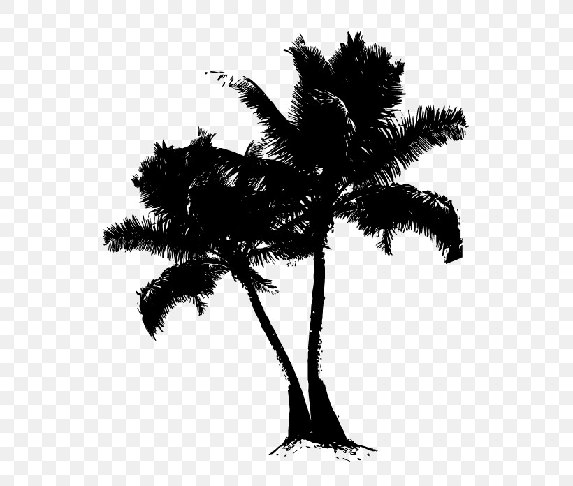 Palm Tree, PNG, 696x696px, Tree, Arecales, Blackandwhite, Borassus Flabellifer, Branch Download Free