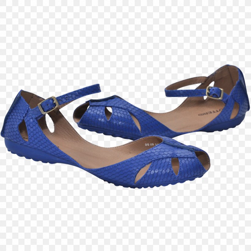 Ballet Shoe Sandal Footwear Boot, PNG, 1024x1024px, Ballet Shoe, Ballet, Black, Blue, Boot Download Free
