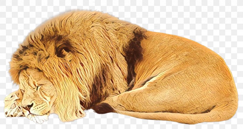 Dog Breed Companion Dog Cat Snout, PNG, 1226x652px, Dog Breed, Big Cat, Big Cats, Breed, Canidae Download Free