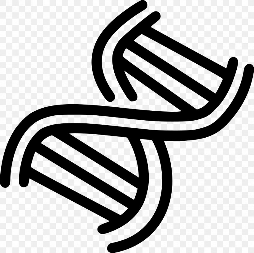 DNA Nucleic Acid Double Helix Science Biology, PNG, 980x978px, Dna, Adna, Biology, Cell, Chemistry Download Free