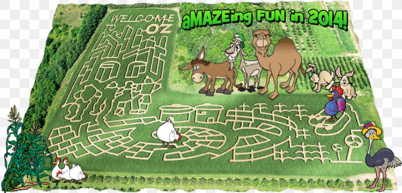 Maze Lawn, PNG, 900x433px, Maze, Grass, Lawn Download Free