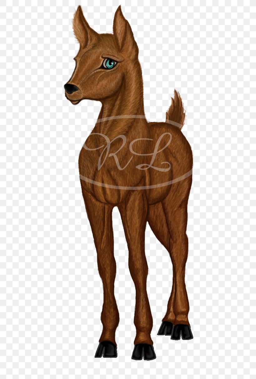 Mustang Foal Colt Stallion Pony, PNG, 600x1214px, Mustang, Colt, Deer, Foal, Halter Download Free
