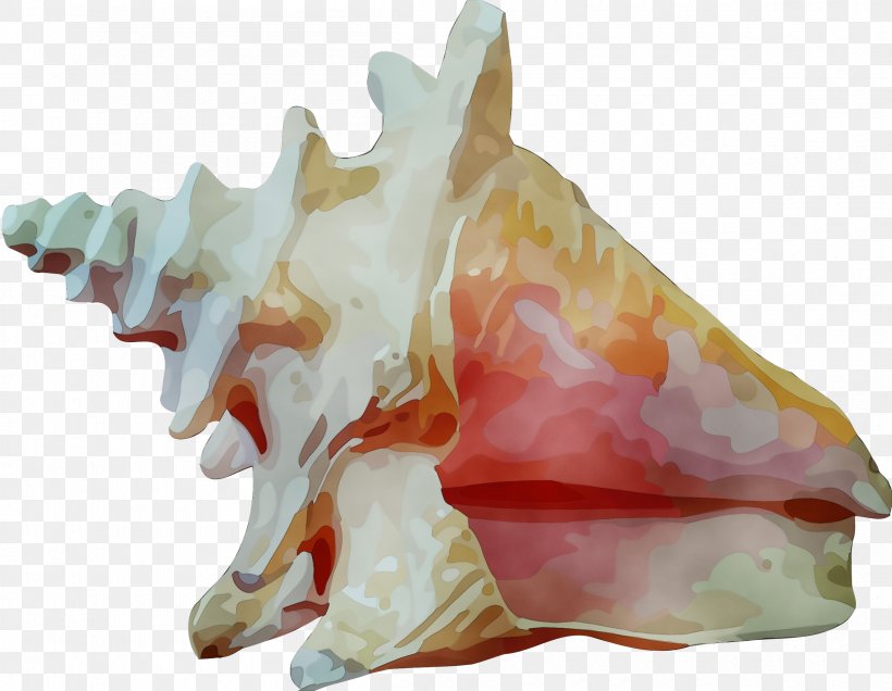 Conch Conch Shankha Figurine Animal Figure, PNG, 2400x1864px, Watercolor, Animal Figure, Conch, Figurine, Jaw Download Free