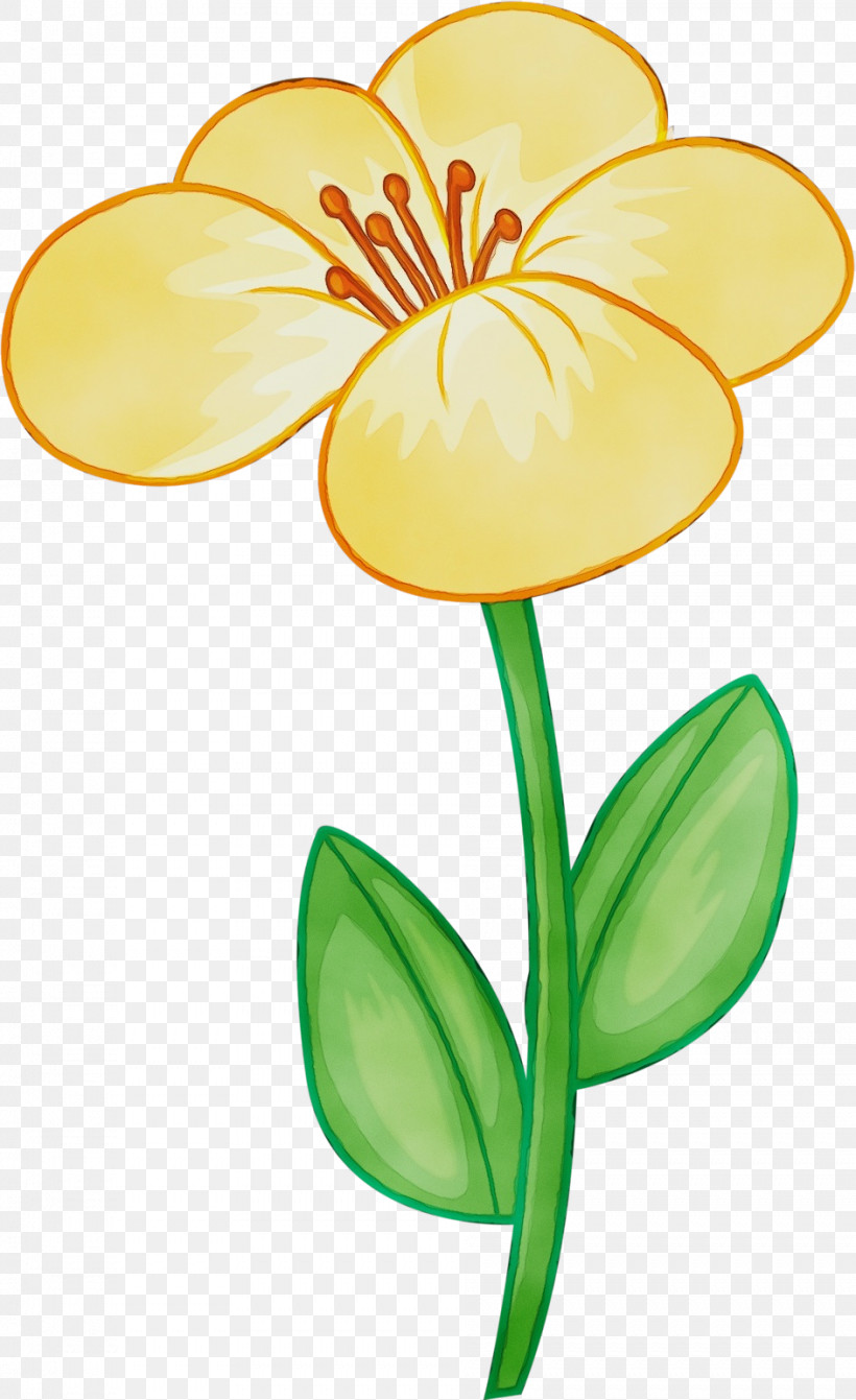 Flower Yellow Plant Petal Pedicel, PNG, 943x1543px, Watercolor, Flower, Herbaceous Plant, Paint, Pedicel Download Free