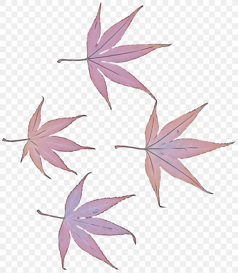 Maple Leaf, PNG, 1868x2144px, Leaf, Flower, Flowering Plant, Maple Leaf, Plant Download Free