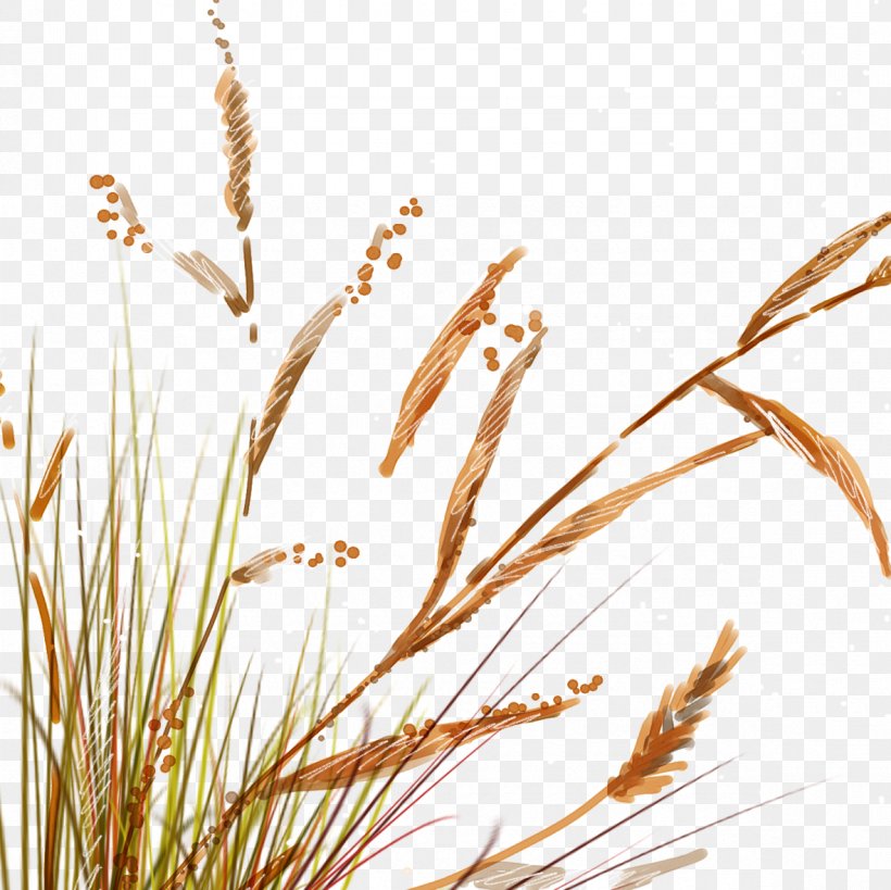 Painted Reed Grass, PNG, 1181x1181px, Watercolor Painting, Autumn, Branch, Commodity, Common Reed Download Free