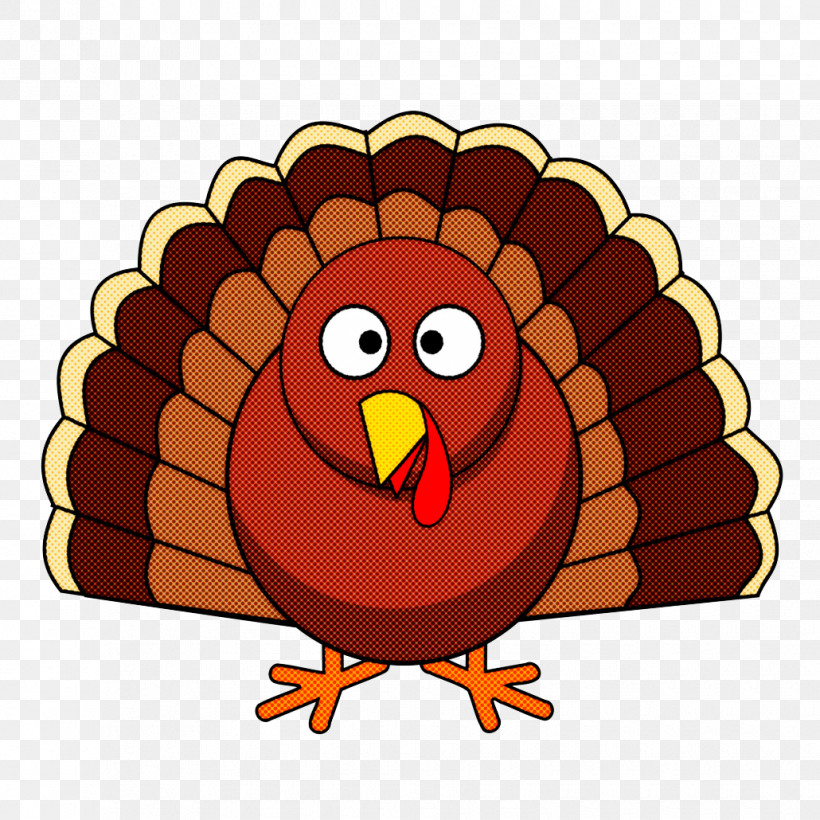 Thanksgiving, PNG, 1030x1030px, Cartoon, Beak, Bird, Thanksgiving, Turkey Download Free